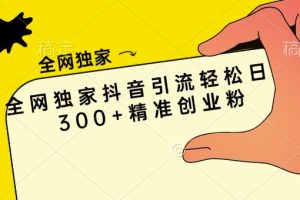 全网独家：抖音日引 300 精准创业粉