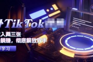 海外TikTok项目，每天收入两三张，无脑做