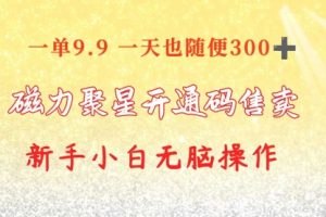 快手磁力聚星码信息差 售卖 一单卖9.9 一天也轻松300+