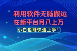 利用软件无脑搬运，在新平台月入上万