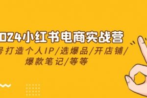 2024小红书电商实战营，养号打造IP/选爆品/开店铺/爆款笔记/等等（24节）