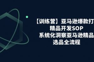 亚马逊爆款打造之精品开发SOP，系统化洞察亚马逊精品选品全流程