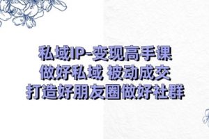 私域IP-变现高手课：做好私域 被动成交，打造好朋友圈做好社群