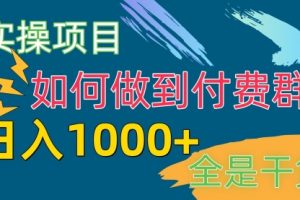 付费群赛道，日入1000+