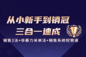 从小新手到销冠 三合一速成：销售3法+非暴力关单法+销售系统挖需课