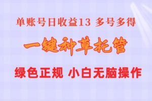 一键种草托管 单账号日收益13元 10个账号一天130 绿色稳定 可无限推广
