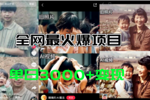 全网爆火的AI让老照片动起来教程，蹭热点日赚3000+