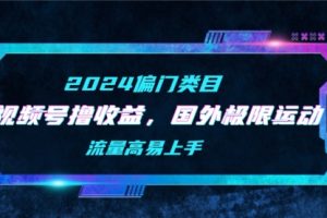 视频号撸收益，二创国外极限运动视频锦集，流量高易上手