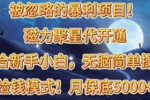 磁力聚星代开通捡钱模式，轻松月入五六千