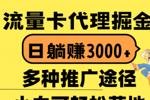 流量卡代理掘金，日躺赚3000+，首码平台变现更暴力
