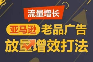 亚马逊流量 增长-老品广告 放量增效打法/销量翻倍/打造更多TOP listing