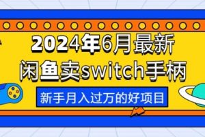 2024年6月最新闲鱼卖switch游戏手柄