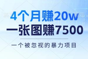 4个月赚20万！一张图赚7500！多种变现方式
