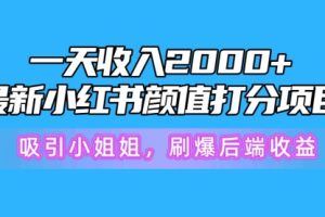 一天收入2000+，最新小红书颜值打分项目，吸引小姐姐，刷爆后端收益