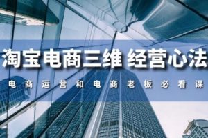 淘宝电商三维 经营心法：电商运营和电商老板必看课