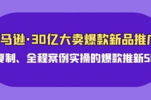 亚马逊30亿·大卖爆款新品推广，可复制、全程案例实操的爆款推新SOP