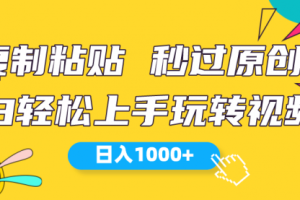 视频号新玩法 小白可上手 日入1000+