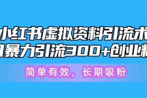 小红书虚拟资料引流术，日暴力引流300+创业粉