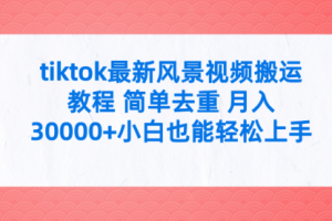 tiktok最新风景视频搬运教程 简单去重 月入30000+