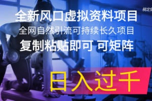 全新风口虚拟资料项目 全网自然引流可持续长久项目