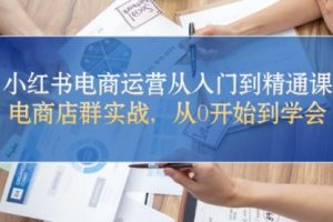 小红书电商运营从入门到精通课，电商店群实战