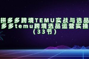 拼多多跨境TEMU实战与选品，多多temu跨境选品运营实操