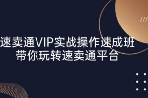 速卖通 VIP实战操作-速成班，带你玩转速卖通平台