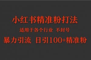 小红书各个行业适用的精准粉暴力引流打法 日引100+精准粉