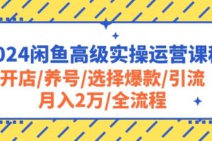 2024闲鱼高级实操运营课程：开店/养号/选择爆款/引流/月入2万/全流程