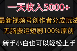 一天收入5000+，视频号创作者分成计划，最新100%原创玩法