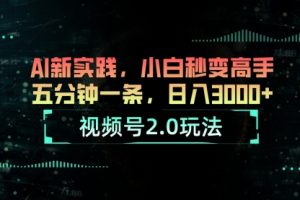 视频号2.0玩法 AI新实践，小白秒变高手五分钟一条，日入3000+