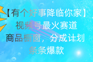 有个好事，降临你家：视频号最火赛道，条条爆款