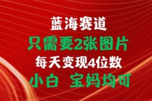 只需要2张图片 每天变现4位数