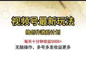 视频号最新玩法，每日一小时月入5000+