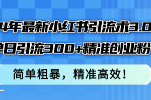 24年最新小红书引流术3.0，单日引流300+精准创业粉
