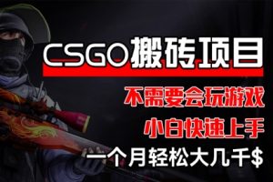 CSGO 装备搬砖项目，操作简单，不需要会玩游戏，小白也能快速上手