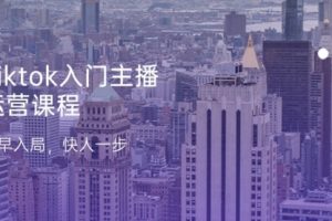 Tiktok入门主播运营课程，及早入局，快人一步（11节）