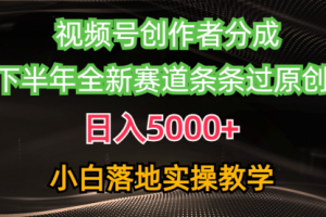 视频号创作者分成最新玩法，日入5000+ 下半年全新赛道条条过原创