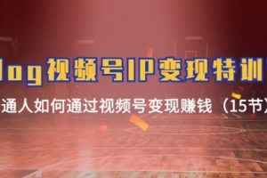 Vlog 视频号IP变现特训营，普通人如何通过视频号变现赚钱
