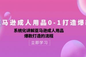 亚马逊成人用品0-1打造爆款：系统化讲解亚马逊成人用品爆款打造的流程