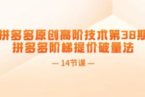 拼多多原创高阶技术第38期，拼多多阶梯提价破量法（14节课）