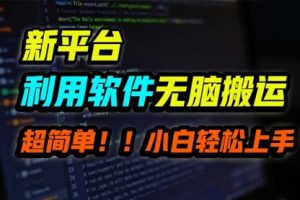 新平台用软件无脑搬运，月赚10000+，小白也能轻松上手