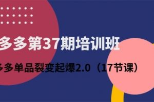拼多多37培训班：拼多多单品裂变起爆2.0（17节课）