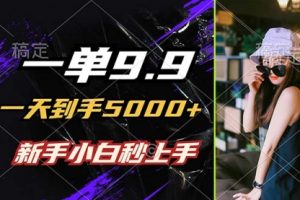 一单9.9，一天到手5000+，不挑人，小白当天上手