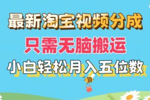 淘宝视频分成，只需无脑搬运，小白也能轻松月入五位数