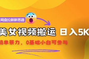 视频搬运+网盘拉新，靠搬运每日5000+