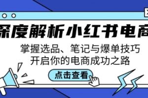 深度解析小红书电商：掌握选品、笔记与爆单技巧，开启你的电商成功之路
