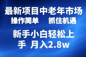 2024最新项目，中老年市场，起号简单，7条作品涨粉4000+，单月变现2.8w