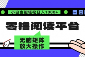零撸阅读平台 解放双手、实现躺赚收益 矩阵操作