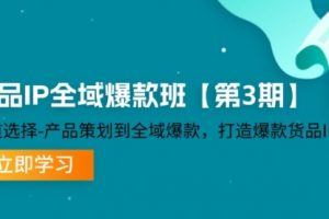 货品-IP全域爆款班赛道选择-产品策划到全域爆款，打造爆款货品IP